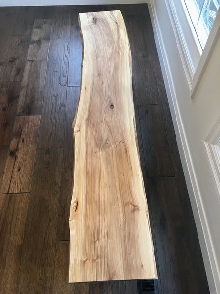 Top View, Live Edge Bench